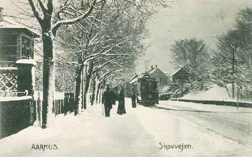 Skovvejen